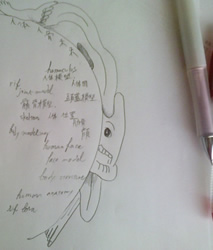 人体模型英語　スケッチ